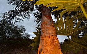 Passaros Suite Hotel